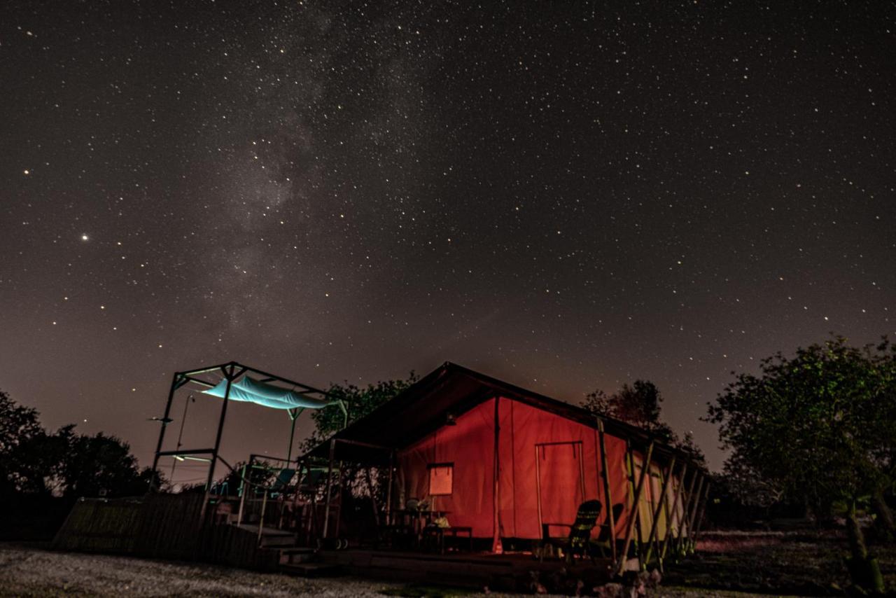 Ses Quinta Luxury Safari Tents Paderne Esterno foto