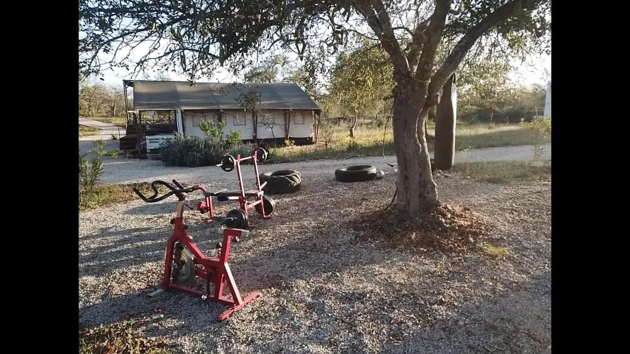 Ses Quinta Luxury Safari Tents Paderne Esterno foto